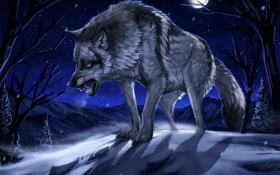 Fierce Gray Wolf Space Wallpaper 4K 2558x1598 Dark Blue, Full HD, Ultrawide