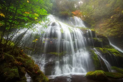 Nature Moss Water Nature Wallpaper 4K 1998x1332 Full HD, Landscape