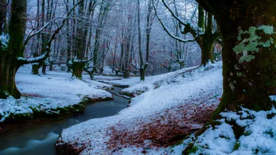 Vibrant Serene Wallpaper Wallpaper 4K, Nature category