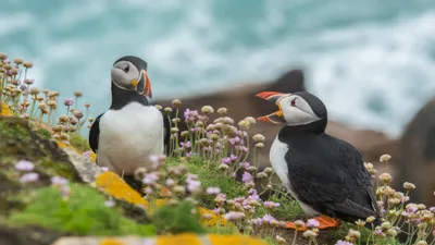 General Wallpaper 3838x2158 Nature Wallpaper 4K 3838x2158 Ultrawide, QHD
