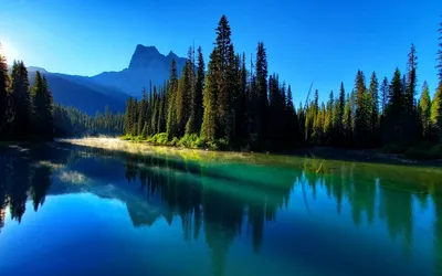 General Wallpaper 1918x1198 Nature Wallpaper 4K 1918x1198 Ultrawide