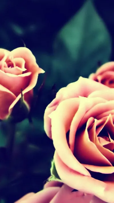 Vibrant Vintage Wallpaper Abstract Wallpaper 4K 1080x1920 White