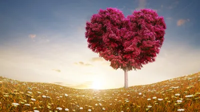 Anime Wallpaper 3838x2158 Abstract Wallpaper 4K 3838x2158 Heart-shaped, Ultrawide, QHD