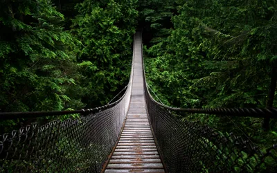 Man Bridge Stretching Across Lush World Wallpaper 4K 2560x1600 Hd, Wallpaper, Of, A, Man-made, Bridge, Stretching, Across, Lush, Green, Forest, Narrow, Gray, Ultrawide, QHD