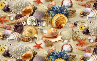 Radiant Vibrant Wallpaper Abstract Wallpaper 4K 2560x1600 A, Vibrant, Display, Of, Various, Colorful, Shells, Including, Scallops, Conchs, Starfish, Set, Gray, Ultrawide, QHD