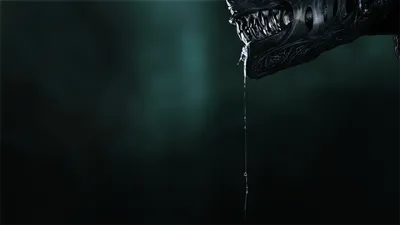 Crisp Dramatic Wallpaper Wallpaper 4K, Black/Dark category