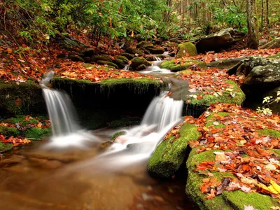 Serene Waterfall Flowing Forest Autumn Nature Wallpaper 4K 1600x1200 Hd, Desktop, Wallpaper, Of, A, Serene, Waterfall, Flowing, Through, Forest, Autumn, Leaves, White, Brown, Landscape