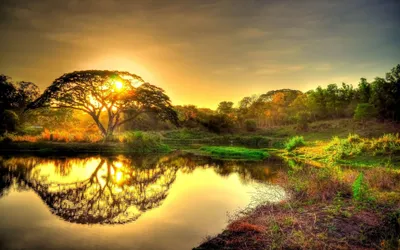 Bold Nature Wallpaper Wallpaper 4K, Nature category