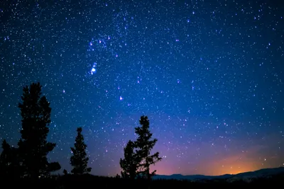 Silhouette Trees Mountain Blue Space Wallpaper 4K 5472x3648 Brown
