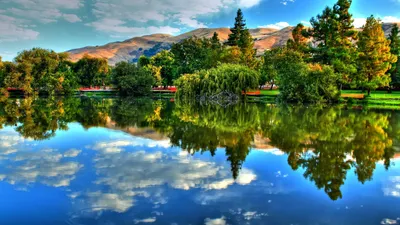 Bold Nature Wallpaper Wallpaper 4K, Nature category