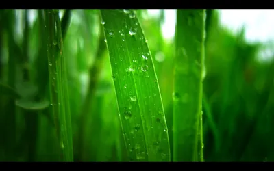 Anime Wallpaper 1918x1198 Abstract Wallpaper 4K 1918x1198 Ultrawide