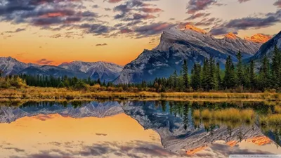 Bold Nature Wallpaper Wallpaper 4K, Nature category