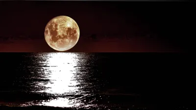 Epic Moon Wallpaper Space Wallpaper 4K 1920x1080 White