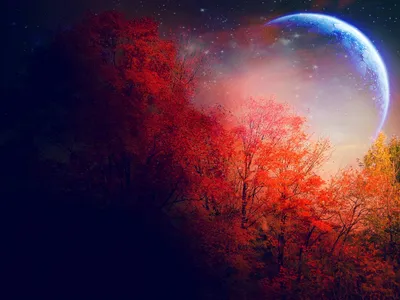 Epic Moon Wallpaper Wallpaper 4K, Space category