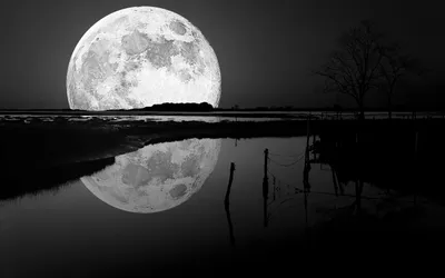 Black Moon Space Wallpaper 4K, Space category