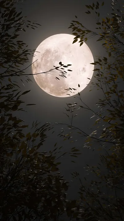 Golden Moon Wallpaper Wallpaper 4K, Space category