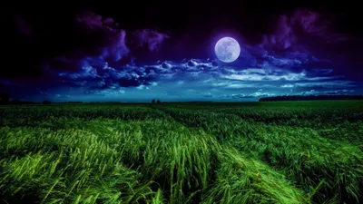 Bold Moon Wallpaper Wallpaper 4K, Space category