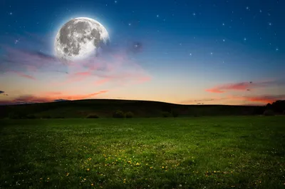 Sleek Nature Wallpaper Wallpaper 4K, Space category