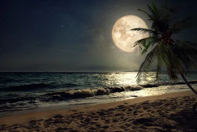 Bold Moonlit Wallpaper Wallpaper 4K, Space category