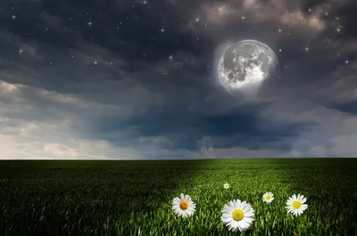 Vivid Nature Wallpaper Space Wallpaper 4K 1920x1272 Gray