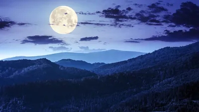 Forest Night Moon Nature Nature Wallpaper 4K 1366x768 Gray, Pink