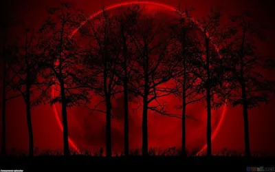 Red Moon Wallpaperaccess Wallpaper 4K, Space category
