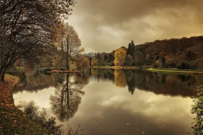 Fall Tree Reflection Wallpaper 4K, Nature category
