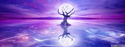 Calm Moon Wallpaper Wallpaper 4K, Space category