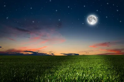 Misty Moonlit Wallpaper Wallpaper 4K, Space category