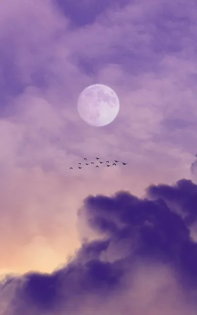 Moon Sky Wallpaperbat Wallpaper 4K, Space category
