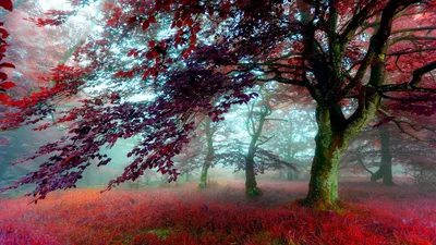 Nature Technology Wallpaper 4K, Technology category