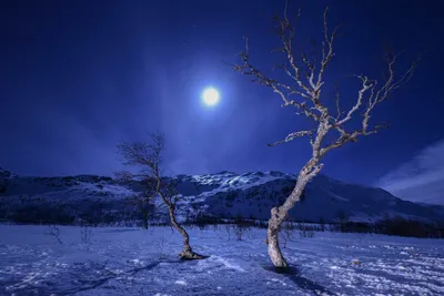 Moonlit Serenity Nature Night Sky Nature Wallpaper 4K 1920x1282 Brown