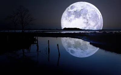 Calm Moon Wallpaper Wallpaper 4K, Space category