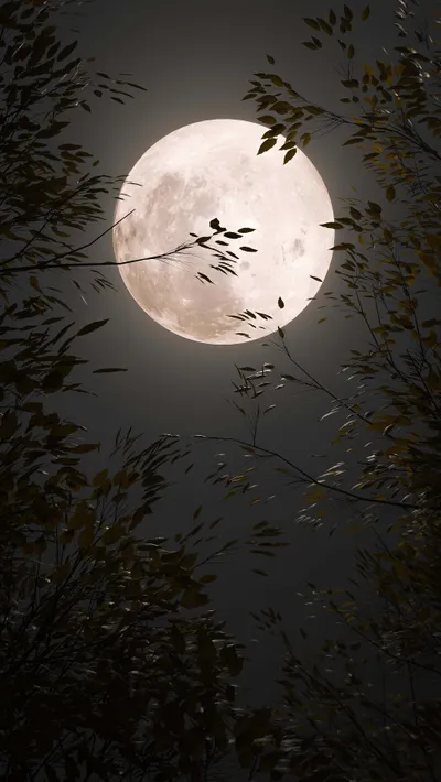 Bright Moon Wallpaper Wallpaper 4K, Space category