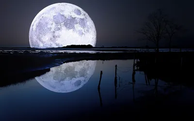Moon Wallpaperaccess Space Space Wallpaper 4K 2880x1800 White