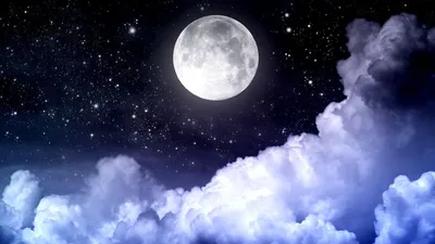 Calm Moon Wallpaper Space Wallpaper 4K 1920x1080 White