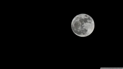 Crisp Moon Wallpaper Wallpaper 4K, Space category