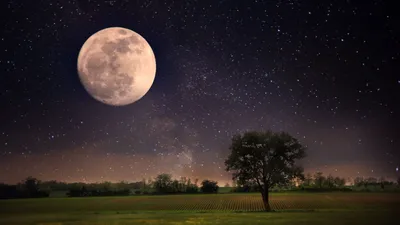 Moon Sky Wallpaperbat Space Wallpaper 4K 2560x1440 Gray, White