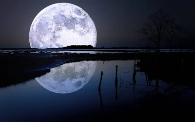 Moon Wallpaperaccess Space Space Wallpaper 4K 2880x1800 White