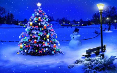 Radiant Christmas Wallpaper Nature Wallpaper 4K 1920x1200 Red