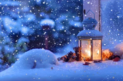 Bold Winter Wallpaper Nature Wallpaper 4K 1920x1275 Pink, Gray