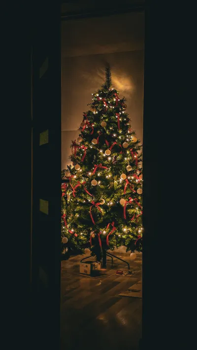 Cozy Christmas Tree Illuminated Night Black/Dark Wallpaper 4K 2252x4000 Brown