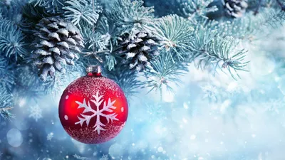 Christmas Tree Winter Wallpaperbat Nature Wallpaper 4K 1920x1080 White