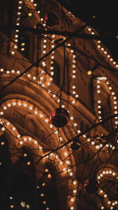 Christmas Balls Tree Branches Nature Wallpaper 4K 1688x3000 Brown