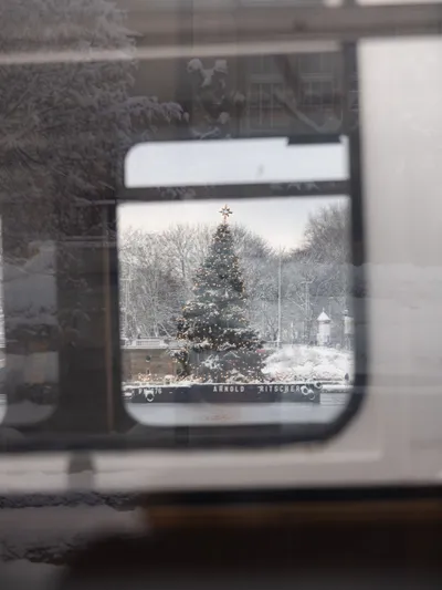Christmas Tree Snowy Hamburg Nature Wallpaper 4K 3865x5153 Gray