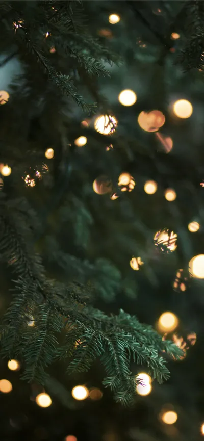 Bright Christmas Wallpaper Technology Wallpaper 4K 1284x2778 Black, White