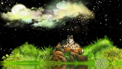 Serene Night Majestic Space Wallpaper 4K 1911x1080 A, Serene, Night, Scene, Features, Majestic, Wolf, Resting, Among, Colorful, Flowers, Under, White, Ultrawide