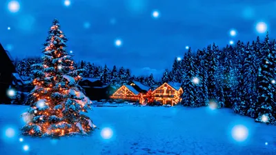 Moody Christmas Wallpaper Abstract Wallpaper 4K 1600x900 Red