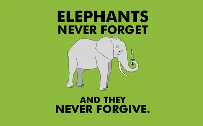 Golden Funny Wallpaper Animals Wallpaper 4K 1680x1050 Hd, Pc, Desktop, Wallpaper/background, Funny, Cartoon, Elephant, Animal, Bright, Green, Field, Pink, White, Ultrawide