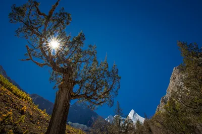 Radiant China Wallpaper Nature Wallpaper 4K 2048x1365 China, Tree, Mountain, Fall, Nature, Sunbeam, Hd, Desktop, Brown, Ultrawide, Full HD